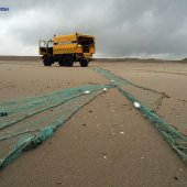 Jonge zeehond van wisse dood gered